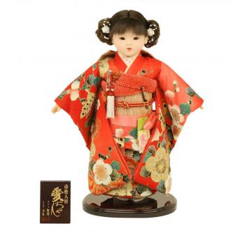 日本を代表する人形として、昔から愛されている市松人形。市松人形の名前の由来は江戸時代の人気歌舞伎役者から来ていると言われています。
こちらは日本を代表するお花である菊を大きくあしらった「愛ちゃん」シリーズです。お花の柄はお祝いに使われ、縁起もよいとされるので日本の着物では多く使われています。市松人形とは元来おかっぱ頭が主流でしたが、この愛ちゃんシリーズが発売されてからはこういった現代的な髪型の市松人形が増えました。着せ付けは市松人形制作で有名な齊藤公司作です。