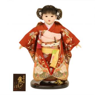 日本を代表する人形として、昔から愛されている市松人形。市松人形の名前の由来は江戸時代の人気歌舞伎役者から来ていると言われています。
こちらは日本を代表するお花である牡丹と菊を大きくあしらった「愛ちゃん」シリーズです。お花の柄はお祝いに使われ、縁起もよいとされるので日本の着物では多く使われています。市松人形とは元来おかっぱ頭が主流でしたが、この愛ちゃんシリーズが発売されてからはこういった現代的な髪型の市松人形が増えました。着せ付けは市松人形制作で有名な齊藤公司作です。