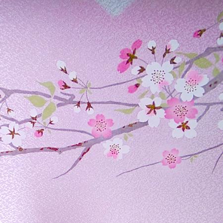 美　宝